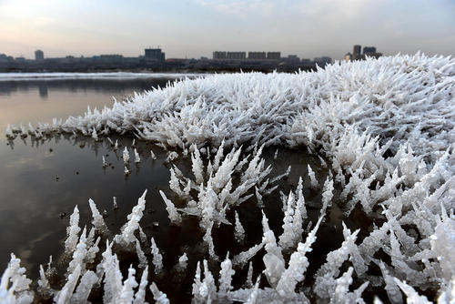  یخزدگی در دریاچه نمک یونچنگ چین
