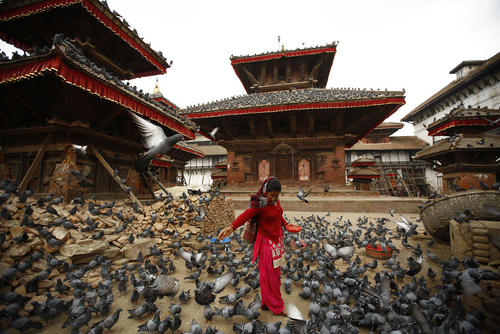 ریختن دانه برای پرندگان – کاتماندو نپال