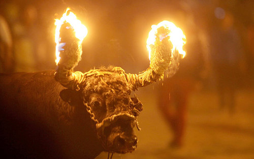 آتش زدن شاخ های گاو در جریان جشنواره ای در اکوادور