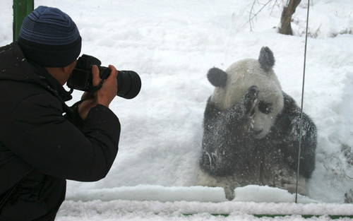 عکس العمل حیوانات در برابر دوربین عکاسان (عکس)
