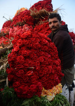 فروش گل به مناسبت ولنتاین در بازار گل لاهور پاکستان