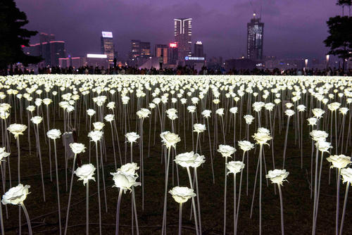 نصب 25 هزار گل رز سفید مصنوعی در شهر هنگ کنگ