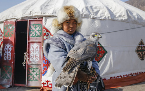شکارچی جوان شاهین – قزاقستان