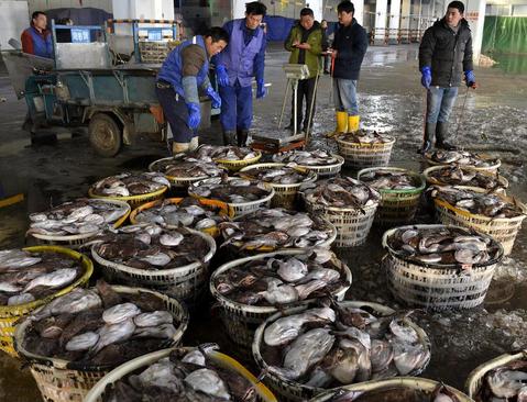 بازار ماهی فروشان در شهر ژوشان چین