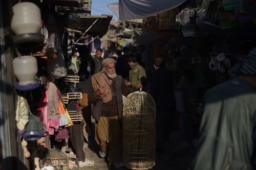 بازار پرنده فروشان در کابل افغانستان