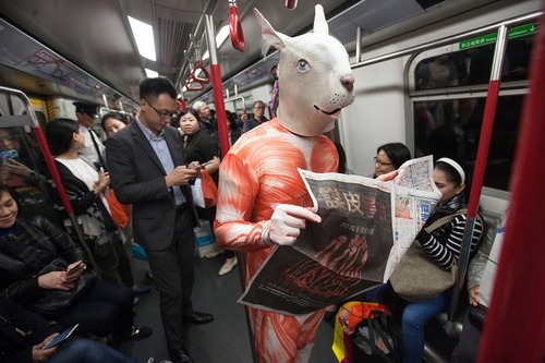 یک فعال حقوق حیوانات در هنگ کنگ همزمان با برگزاری هفته مد لباس های پوستی در مترو این شهر