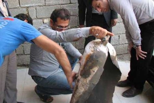 انفجار وانت درجایگاه سوخت