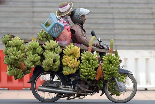 بار زدن محموله موز با موتور – شهر پنوم پن مرکز کامبوج