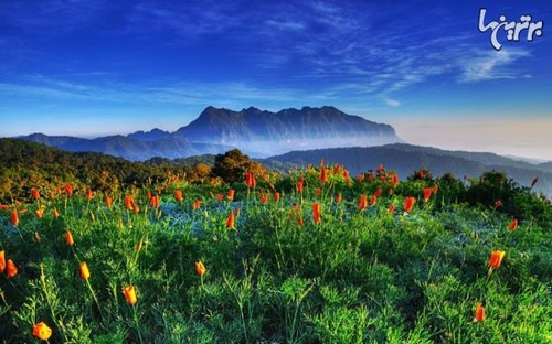 Chiang Dao, Thailand