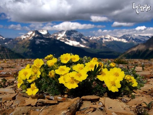 Glacier National Park, Montana