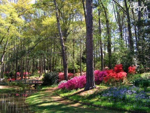 Callaway Gardens, Georgia