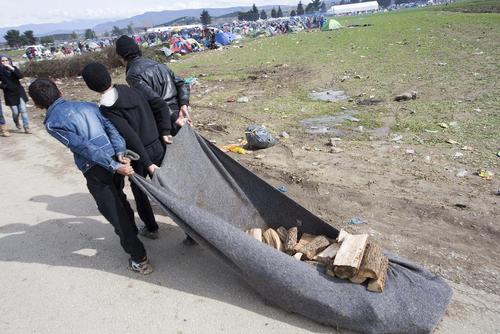 پناهجویان در حال حمل چوب برای آتش زدن – مرز یونان و مقدونیه