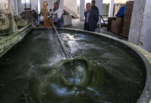یک کارخانه تولید صابون روغن زیتون در شهر عفرین در استان حلب سوریه