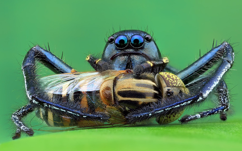  دیدنی های روز