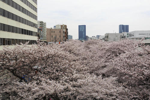 پاسخ به: دیدنی های روز