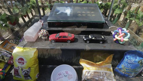 قبرستان حیوانات خانگی در چین (عکس)