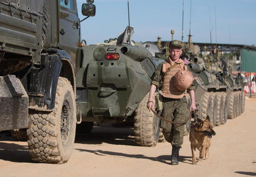 سگ های آموزش دیده و مین یاب ارتش روسیه در پایگاهی نظامی در لاذقیه سوریه و در حال اعزام به منظور جستجوی شهر تاریخی پالمیرا