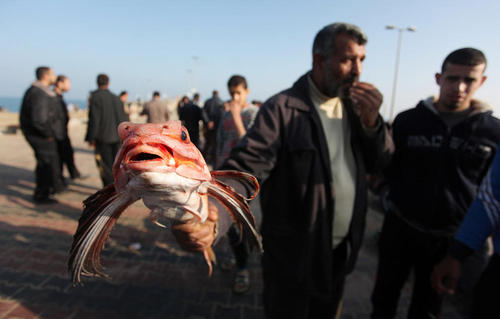 بازار فروش ماهی در ساحل غزه