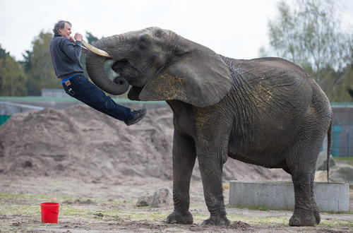 بازی فیل و آموزش دهنده اش – باغ وحشی در آلمان