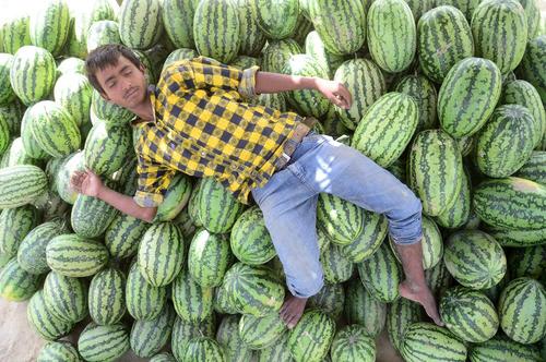 خواب ظهرگاهی در هوای گرم شهر الله آباد هند – بازار میوه