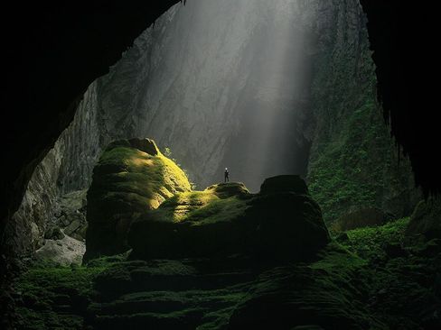 بزرگ ترین غار – جنگل زیر زمینی جهان در ویتنام