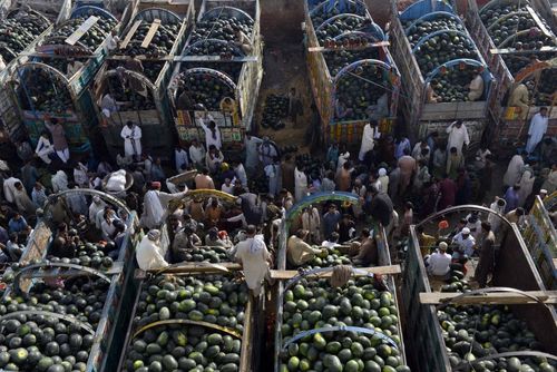 بازار میوه در شهر لاهور پاکستان