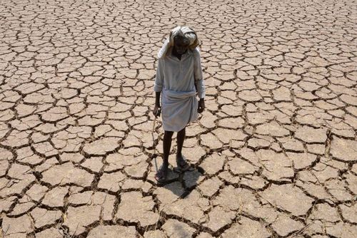 یک کشاورز در زمین زراعی خشک شده خود در حیدر آباد هند ایستاده است