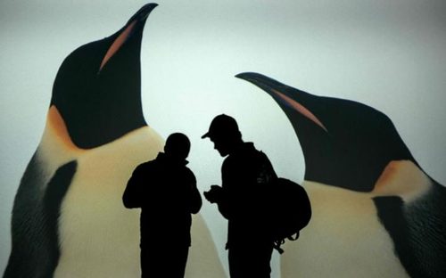 نمایشگاه قطب جنوب در لیون فرانسه