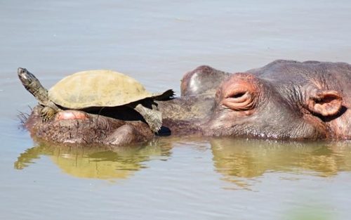 پاسخ به: دیدنی های روز