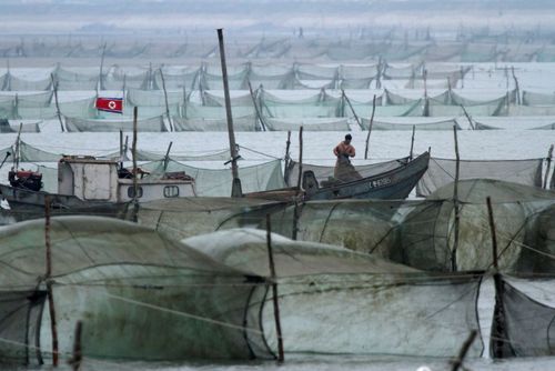قایق های ماهیگری صیادان کره شمالی در مرز آبی مشترک با چین
