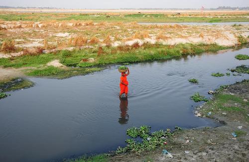 کشاورز هندی در حال عزیمت به بازار سبزیجات – الله آباد هند