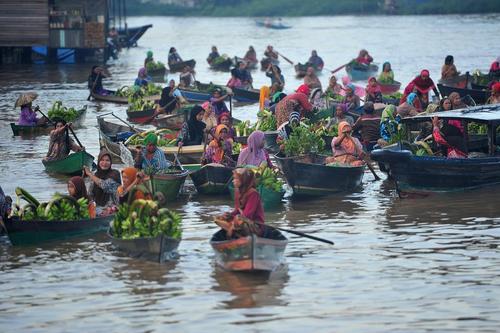 فروش میوه و سبزیجات روی قایق در آب – بازار شناور در کالیمانتان اندونزی