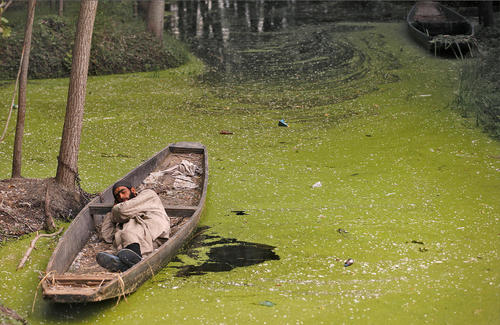 خوابیدن درون قایق کوچک – کشمیر