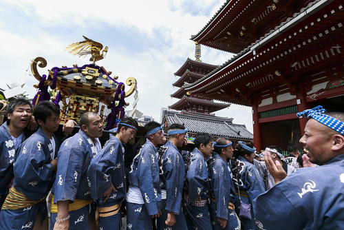 بلند کردن زیارتگاه های قابل حمل در جریان جشنواره سنتی سانجا در مقابل معبدی در توکیو
