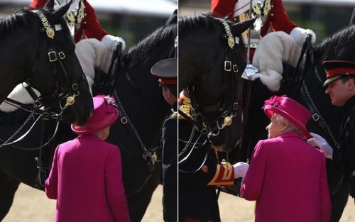 ضربه زدن یک اسب به کلاه ملکه انگلیس در آخرین روز نمایش سلطنتی اسب در وینسور انگلیس