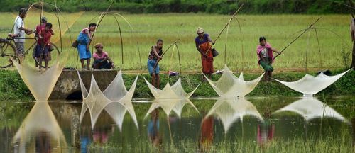 ماهیگیری از رود آسام – هند