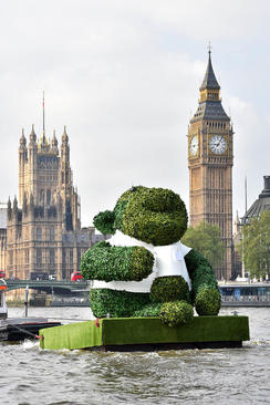 نمایش سازه ای 6 متری از بیش از 110 هزار برگ چای سبز در رود تیمز لندن