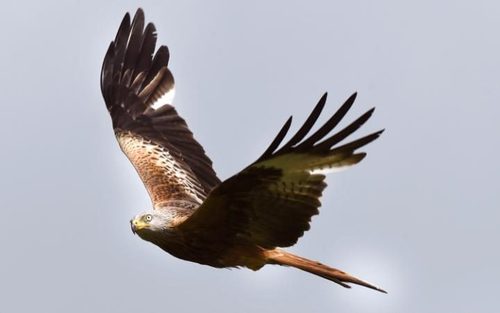 پاسخ به: دیدنی های روز