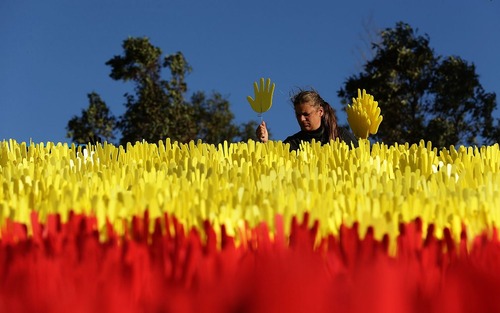 کاشتن دست در آغاز هفته آشتی – سیدنی استرالیا