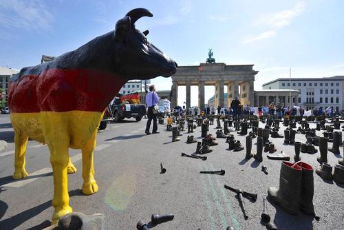 اعتراض دامداران آلمانی به قیمت گذاری محصولات لبنی و شیر – برلین