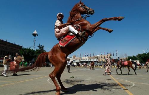 جشنواره اسب سواری به مناسب یکپارچگی وحدت یمن