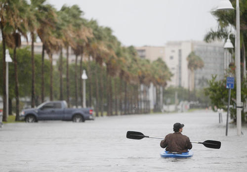 پاسخ به: دیدنی های روز