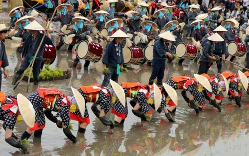 مراسم سنتی کاشت برنج - ژاپن