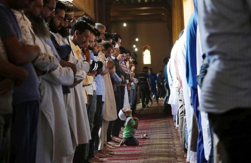 پاسخ به: دیدنی های روز