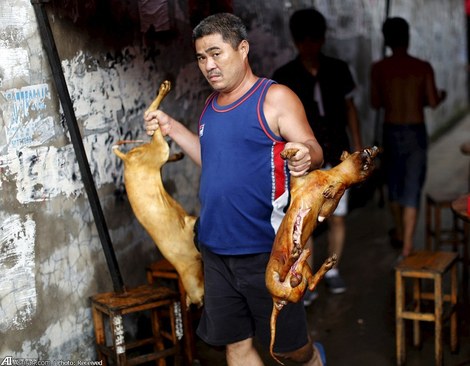 طبخ غذا با گوشت سگ در جشنواره یولین - ژوئن 2015