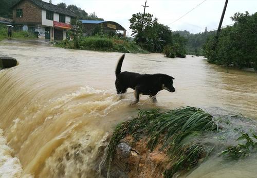 پاسخ به: دیدنی های روز