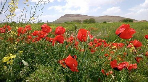 روستای چورمق -شهرستان رزن- استان همدان- محمد