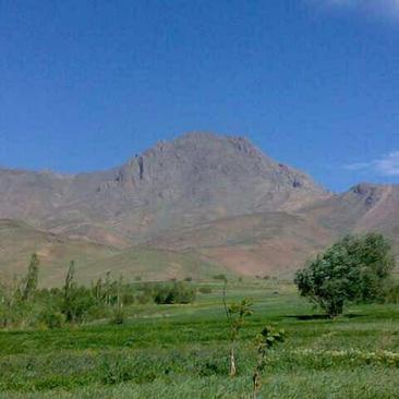 کوه آلما بولاق روستای تاج آباد  همدان- رضا یاری