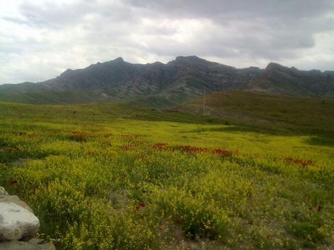 کوه قالا داغی- شهرستان مرند- استان آذربایجان شرقی- محمد