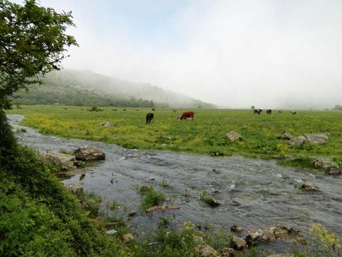 منطقه دوهزار شهسوار - استان مازندران- فرهاد رزم پوش